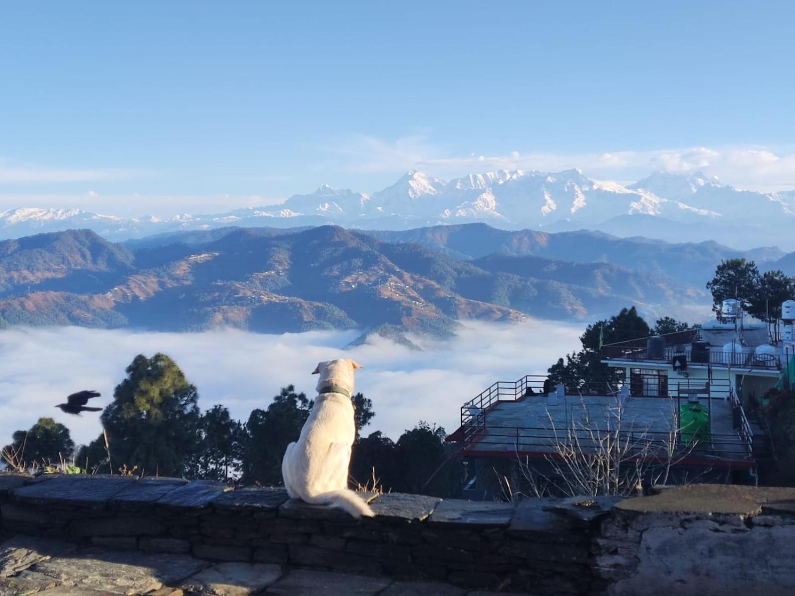 The Heavens Apartment Almora Exterior foto